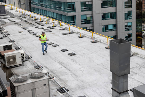 Best Asphalt Shingle Roofing  in Muscoy, CA