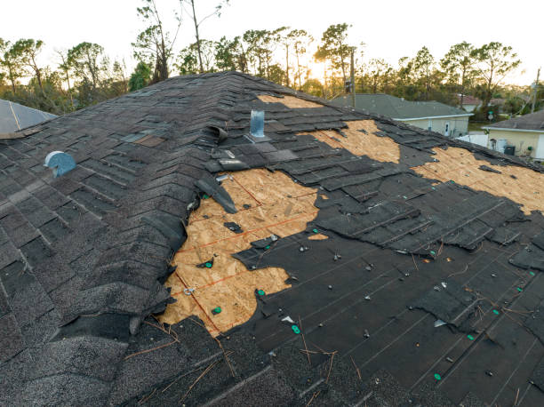 Best Roof Repair  in Muscoy, CA
