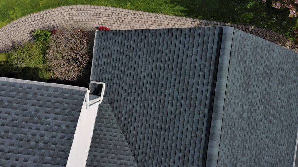 Best Roof Coating and Sealing  in Muscoy, CA