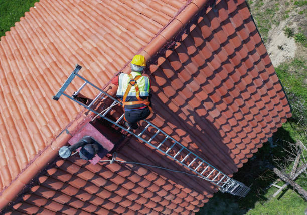 Best Roof Coating and Sealing  in Muscoy, CA
